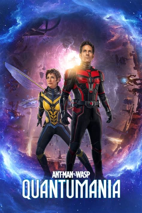 Watch Ant.